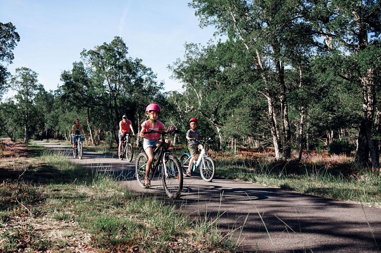 Vélo et pistes cyclables