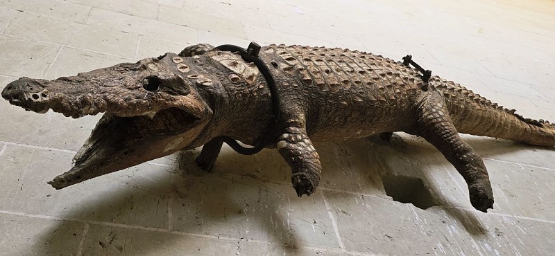 collegiale©sbonnet (74)