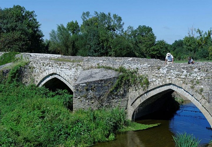 pont-de-taizon-patrimoine-saint-martin-de-sanzay