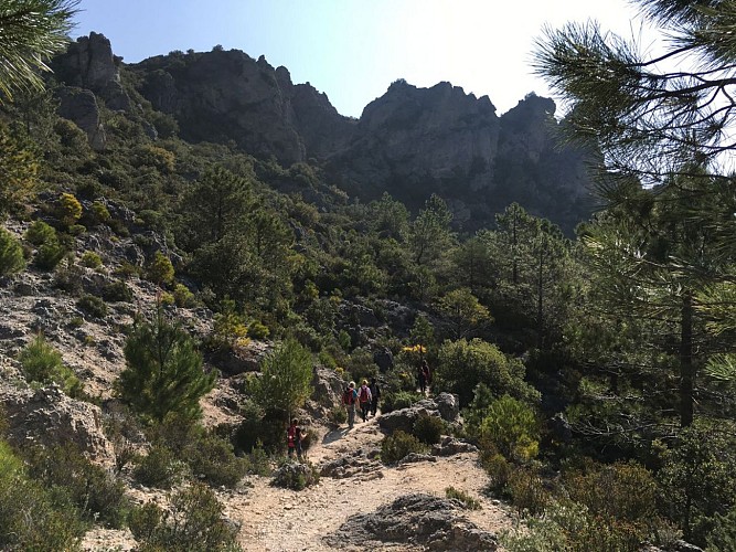 cirque de Mourèze / montagne de Liausson