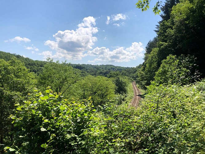 Eymoutiers_Gorges de la Vienne