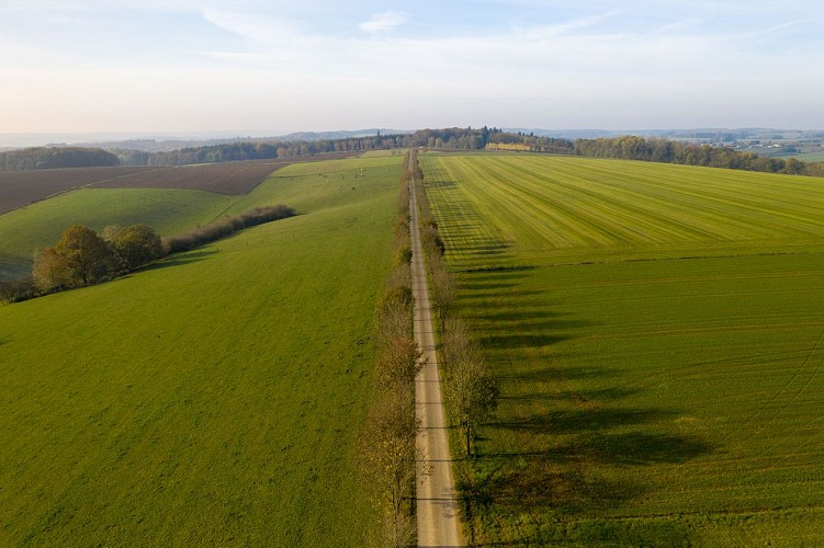 Vue drône - Paysage Condroz-8