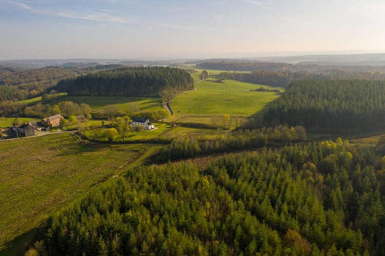 Vue drône - Paysage Condroz-19
