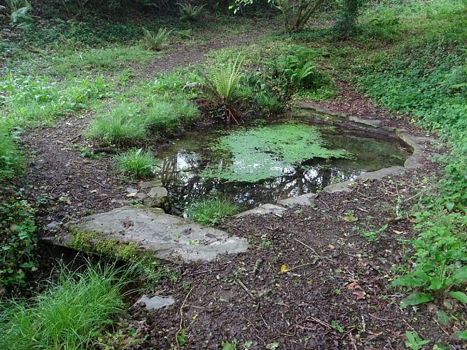 Brasparts-Fontaine Edern