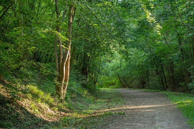 X.RENOUX_Pierrefonds