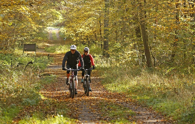 Compiègne à Pierrefonds par St Jean aux Bois