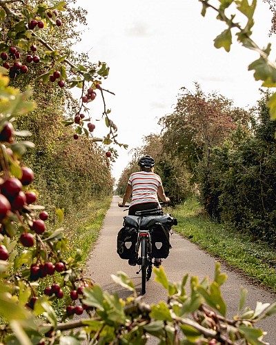 piste-cyclable-AVLP