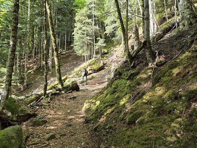 Pause contemplative dans la montée.