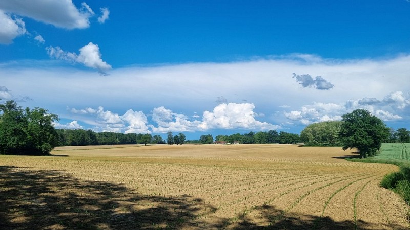 MTB-VTC circuit n°26 (black) - Tour de St Didier d'Aussiat