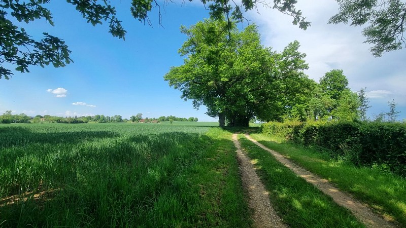Circuit VTT-VTC n°24 (rouge) - La St Martin