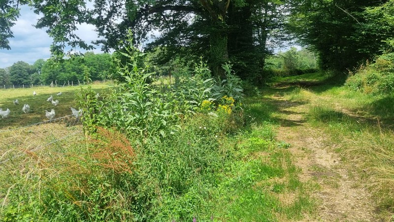 Circuit VTT n°24 (rouge) - La St Martin_Montrevel-en-Bresse