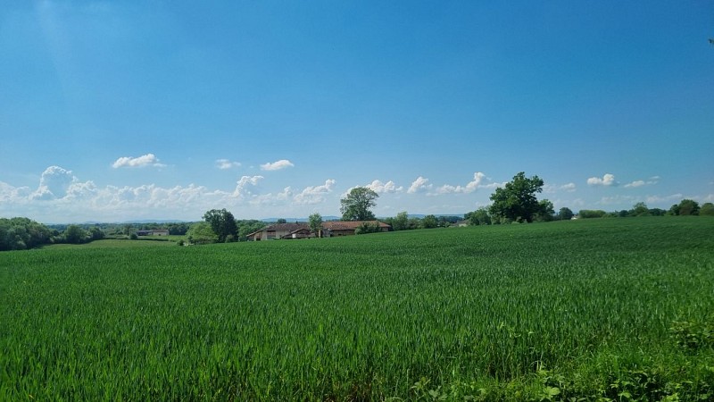 Circuit VTT n°24 (rouge) - La St Martin_Montrevel-en-Bresse