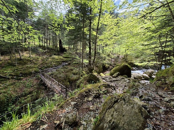 La passerelle du pré d'Artigue