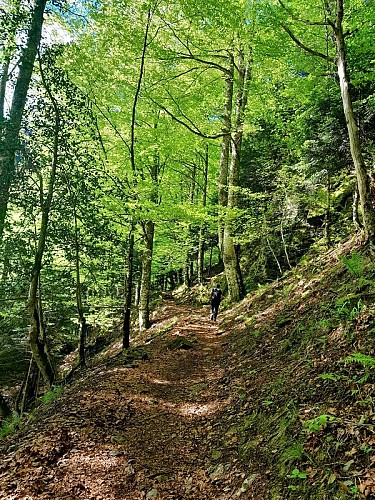 L'effort dans la montée...