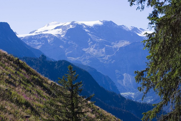 Vue sur les glaciers