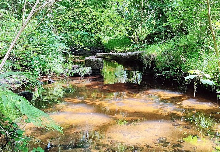 Pont antique - Lanvellec