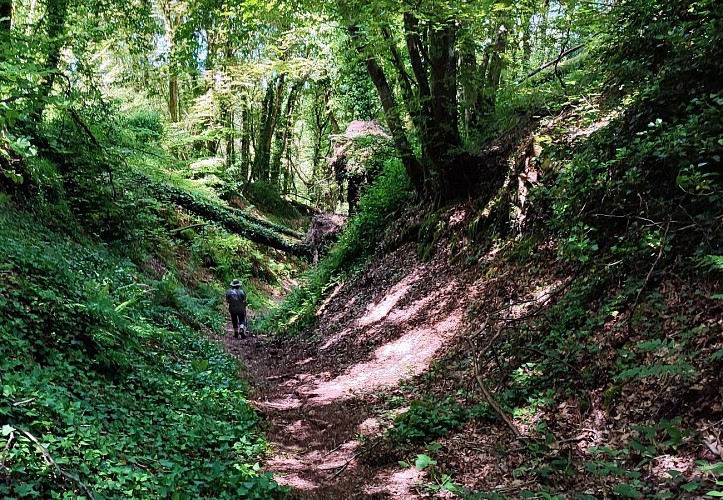 Chemin creux - Lanvellec