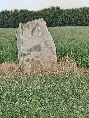 Base VTT-Milly-N°2- Les pierres levées