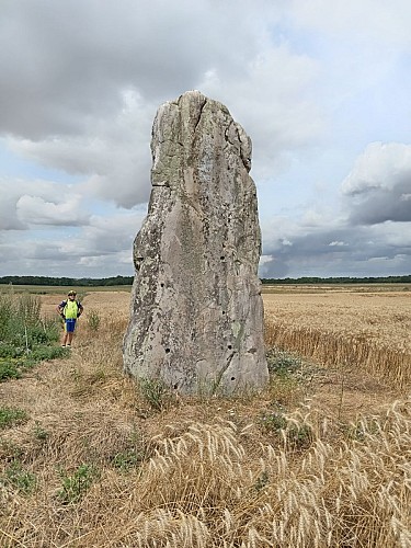Base VTT-Milly-N°2- Les pierres levées
