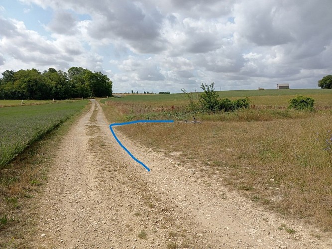 Base VTT-Milly-N°2- Les pierres levées