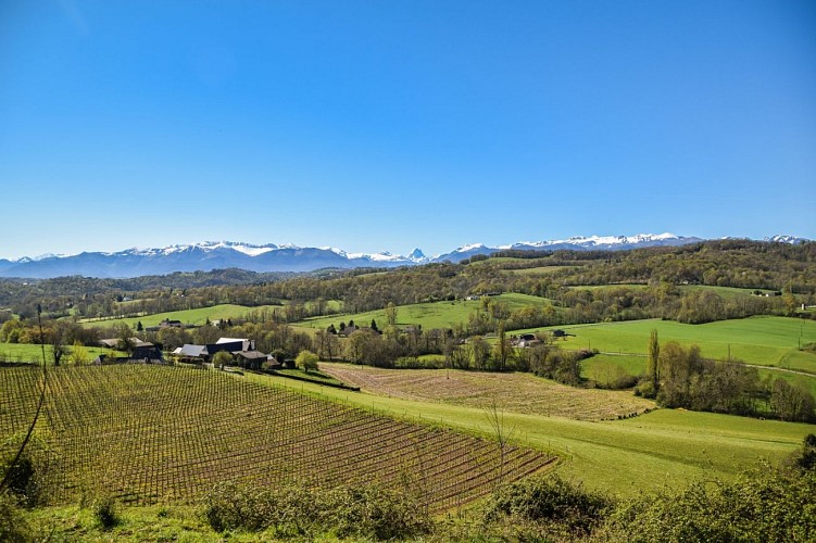 Gan - Côteau de Bastarrous - Panorama sur les Pyrénées 1