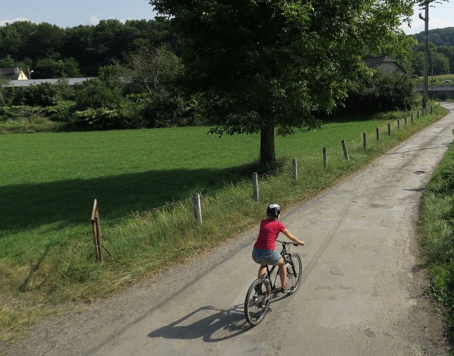 Petit tronçon de route avant le bois