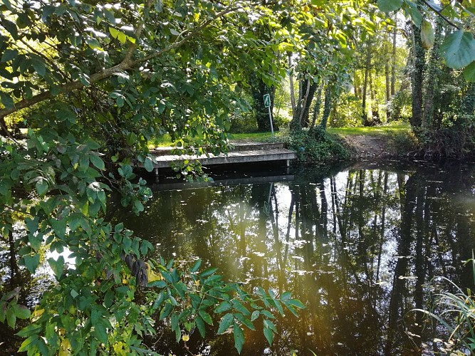 Rivière la Dronne - Poltrot_2