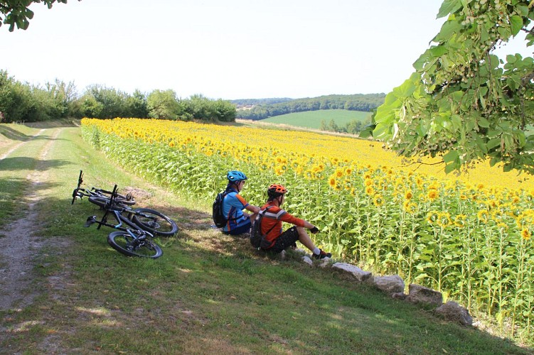 Chemin Barker Dronne_10