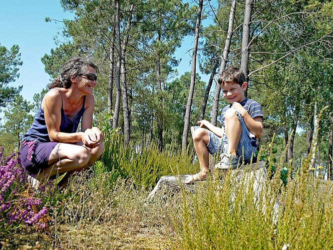 Circuit pedestre Landes de la Bonne aux Lievres N20 Lac de Montendre_1