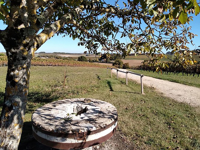 Circuit pedestre Bois Galante N34 Marignac Haute-Saintonge 1_1