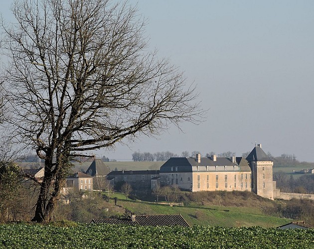 Vue sur le château de Chalais_2