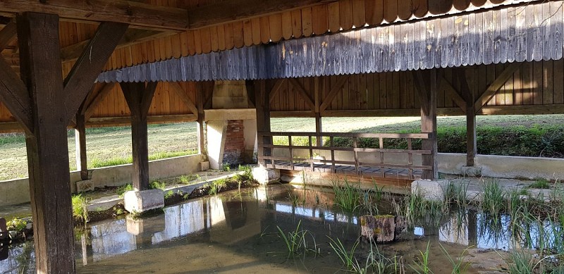 Le lavoir_5