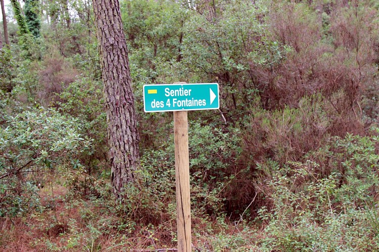 Sentier des 4 Fontaines - Forêt de la Coubre