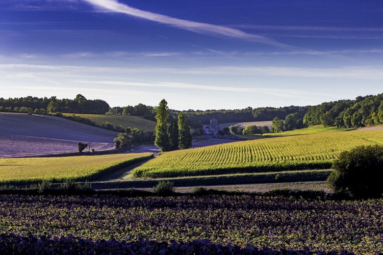 Campagne de Floirac 1_1
