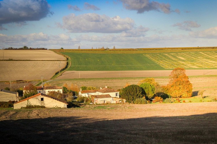Campagne de Floirac 2_2