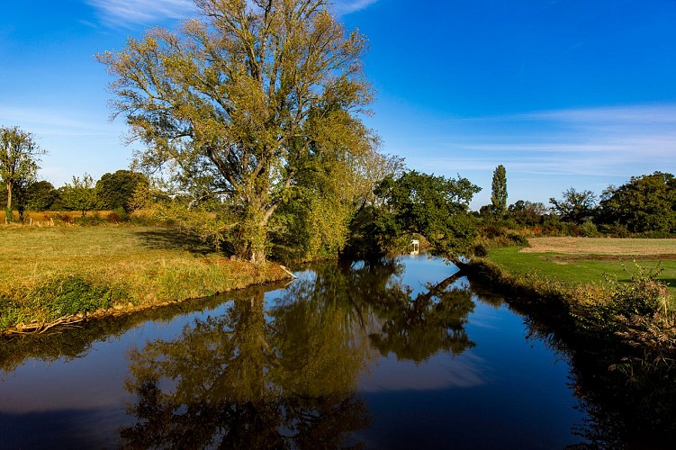 Campagne de Sabonceaux (1)_1