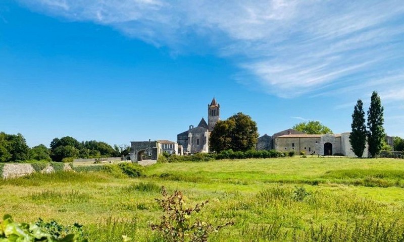 Campagne de Sablonceaux (2)_2
