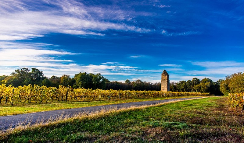 Saint-Romain-de-Benet_1
