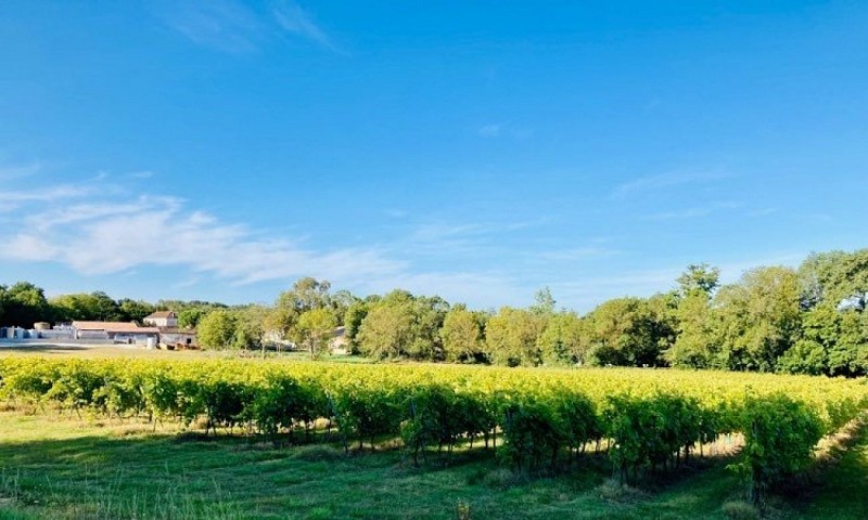 Saint-Romain-de-Benet_3