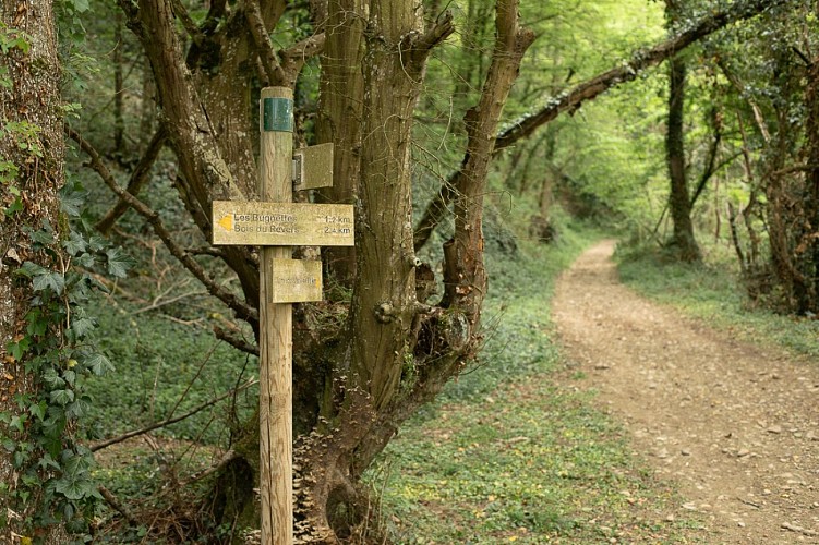 Circuit pédestre "Les bois de Béligneux"