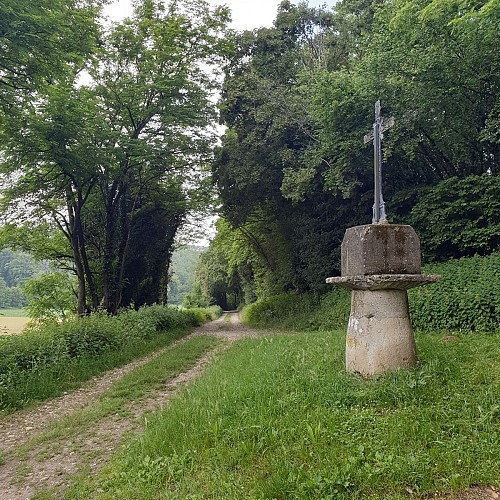 Circuit pédestre "Les bois de Béligneux"