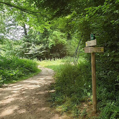 Circuit pédestre "Les bois de Béligneux"