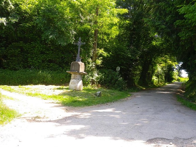 Circuit pédestre "Les bois de Béligneux"