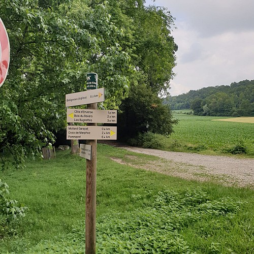 Circuit pédestre "Les bois de Béligneux"