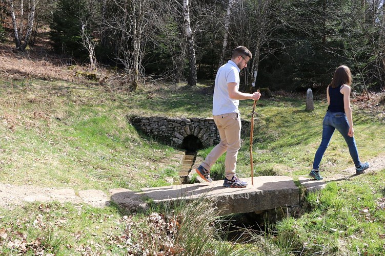 Sources de la Vienne - 1er avril 2021 - @otchc Jérémy Truant - ComEx (20)