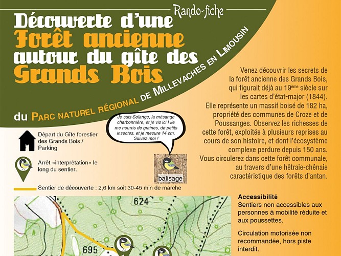 Sentier d'interprétation de la forêt ancienne des Grands Bois.jpg_1