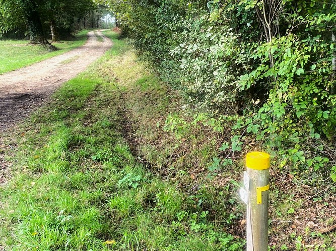 VERGT-DE-BIRON-Boucle du Chemin-Poteau 2