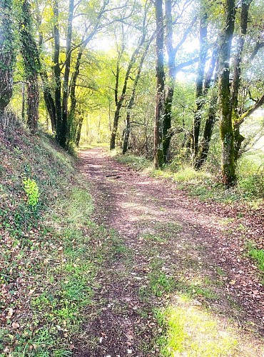 VERGT-DE-BIRON-Boucle du Chemin 2