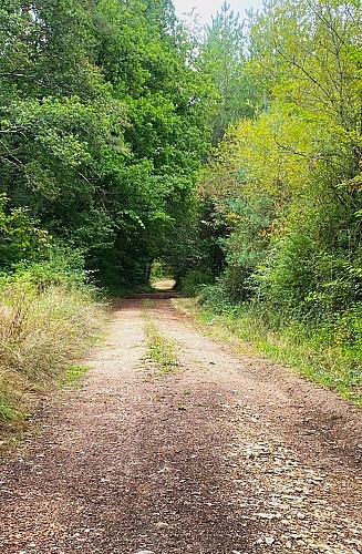 SOUDAT-Boucle de Soudat-Chemin