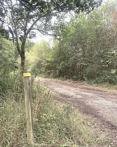 SOUDAT-Boucle de Soudat-Chemin-Poteau